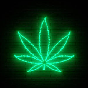 Meet your Posher, Dwayne